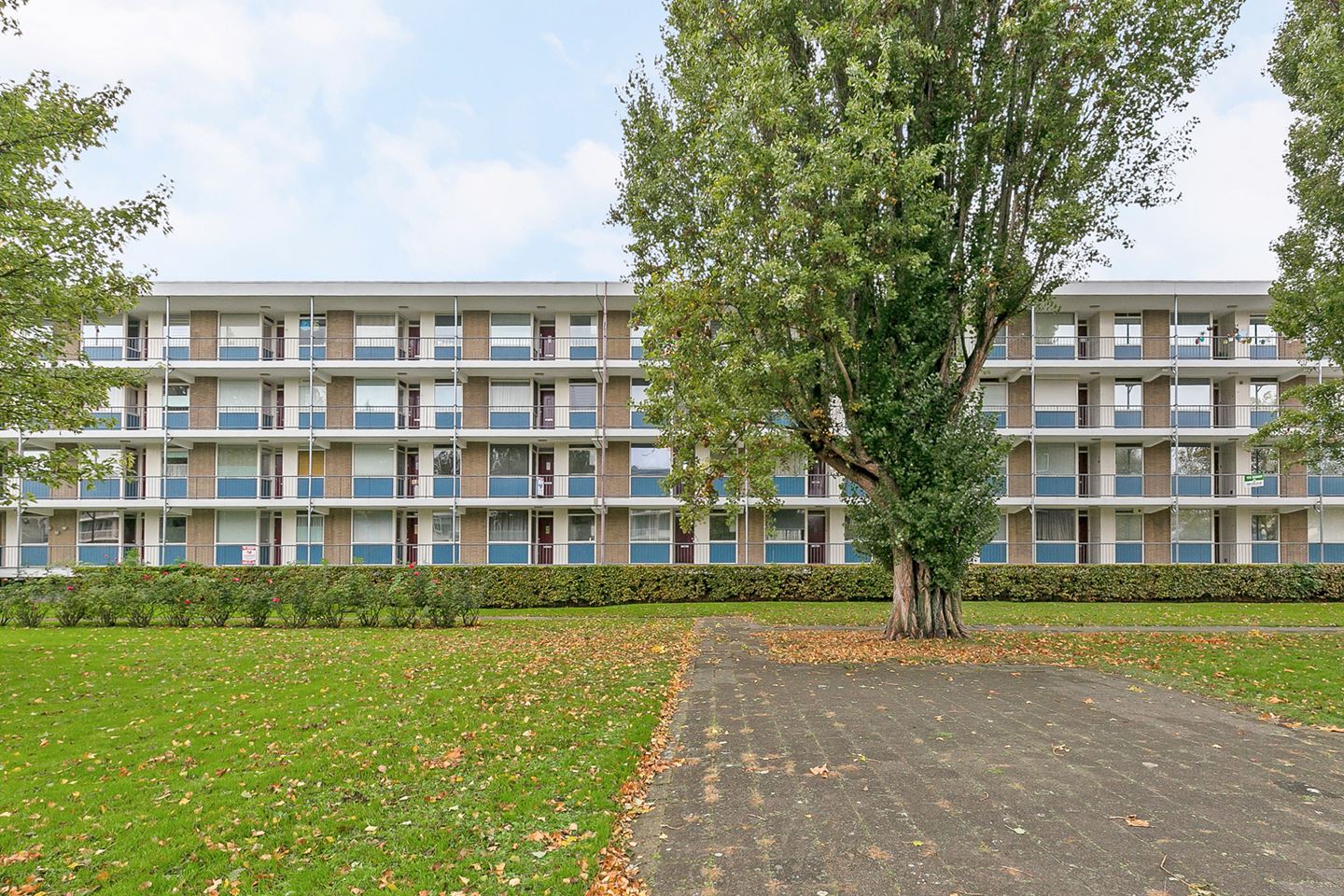Te Huur 2 Kamer Appartement Ogierssingel In Rotterdam