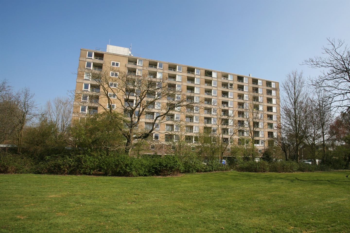 Te Huur 2 Kamer Appartement Trekvogelweg In Amersfoort